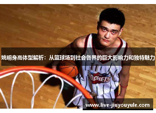 姚明身高体型解析：从篮球场到社会各界的巨大影响力和独特魅力