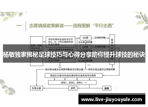 杨敏独家揭秘足球技巧与心得分享助你提升球技的秘诀